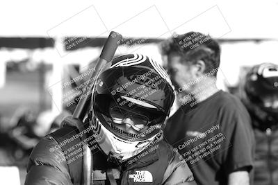 media/Mar-08-2025-TrackXperience (Sat) [[277b597a28]]/1-Around the Pits - Pre Grid/